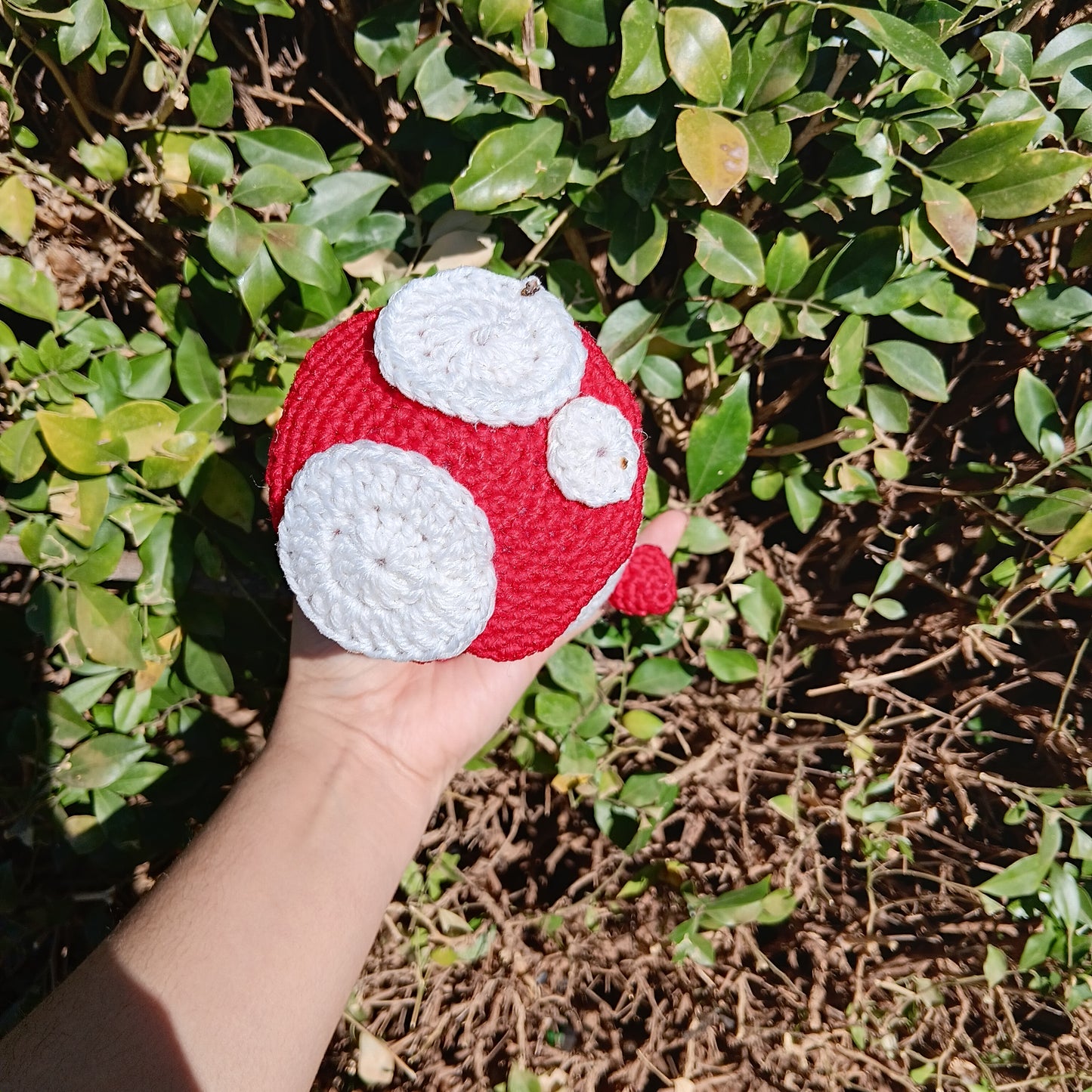 Dungeon meshi mushroom