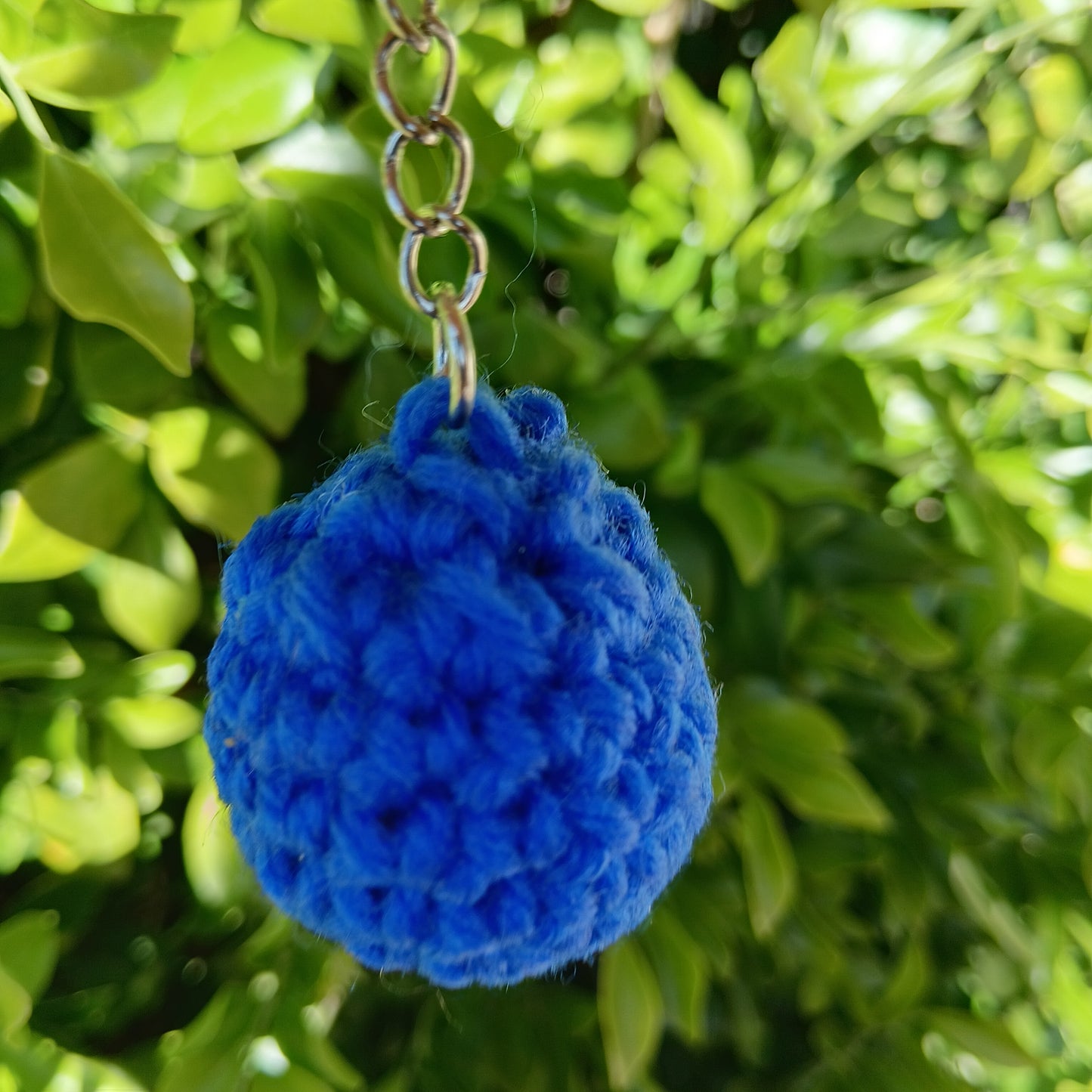 Blueberry keychains