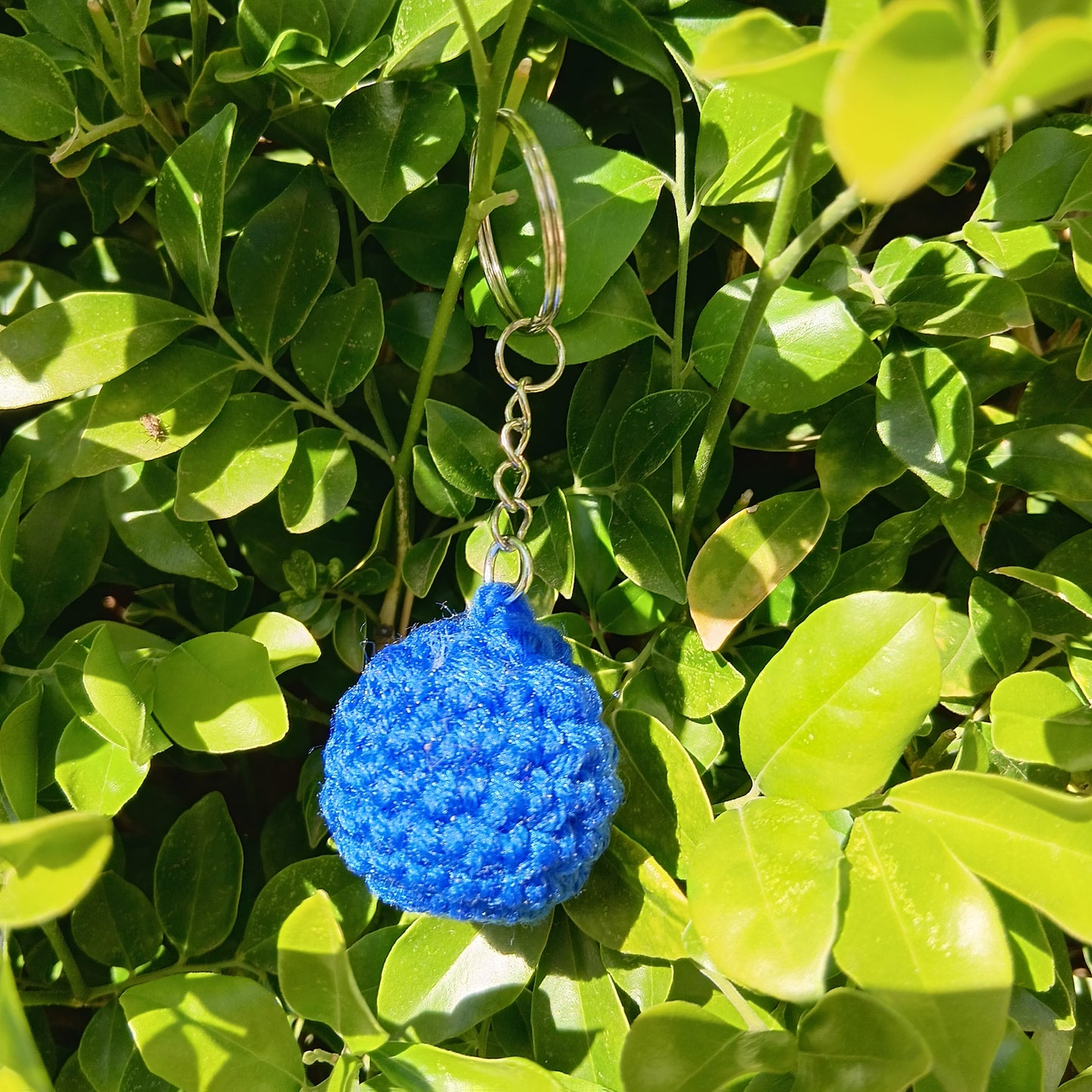 Blueberry keychains