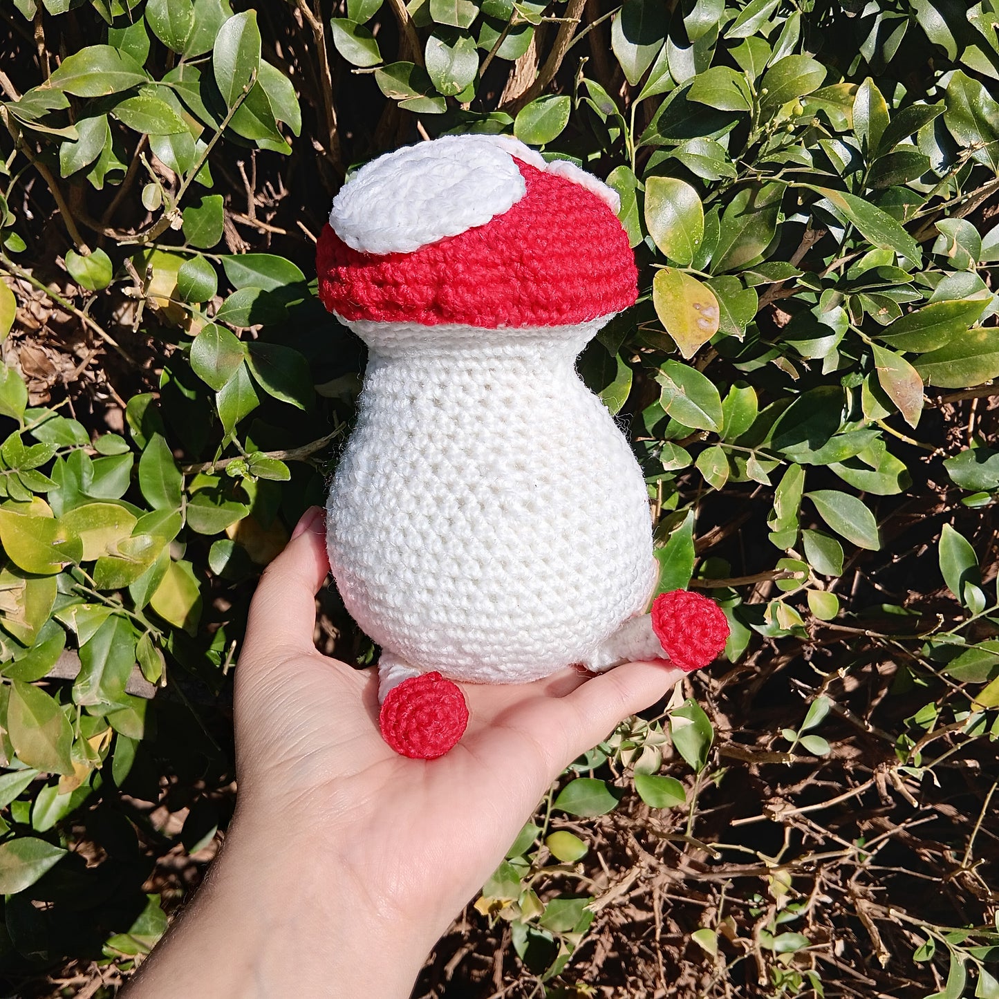 Dungeon meshi mushroom