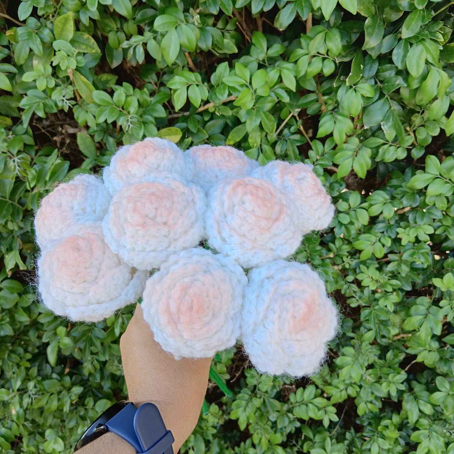 Roses