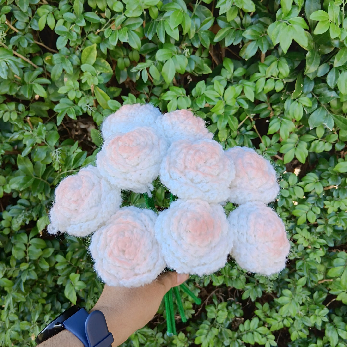 Roses