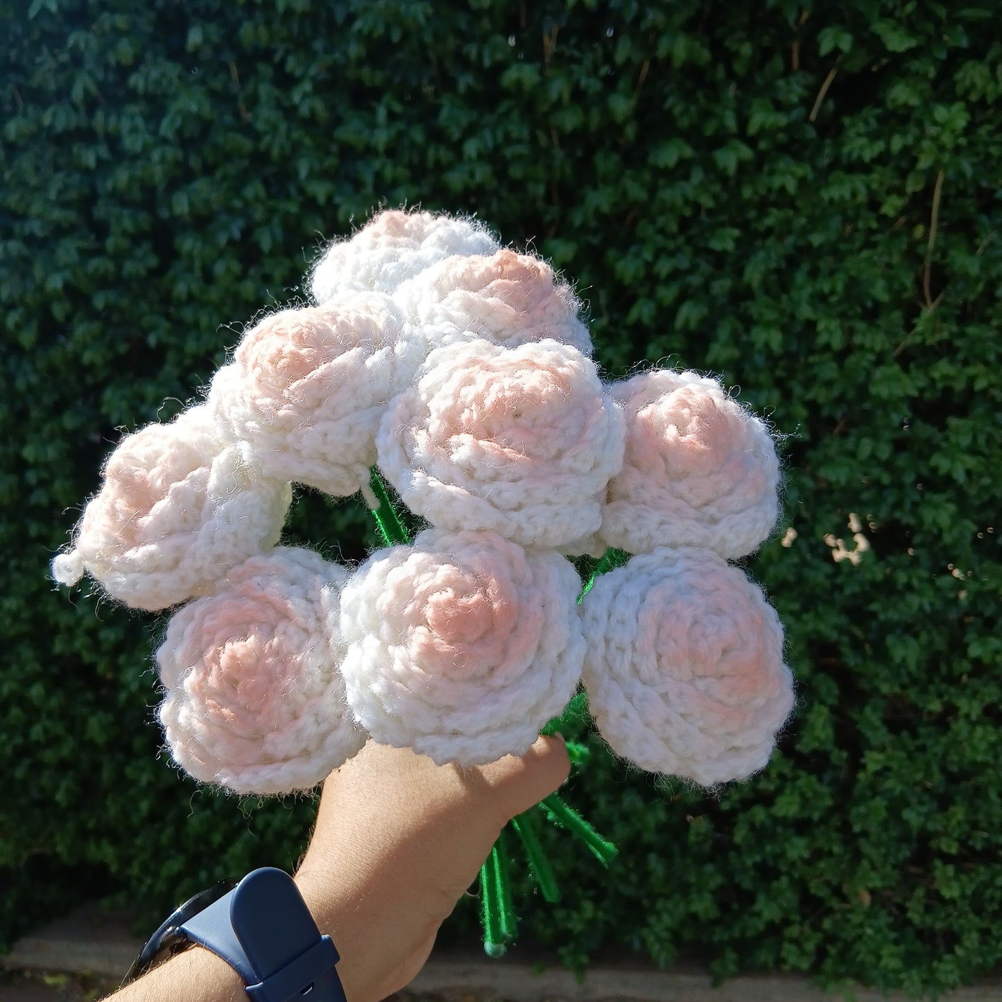 Roses