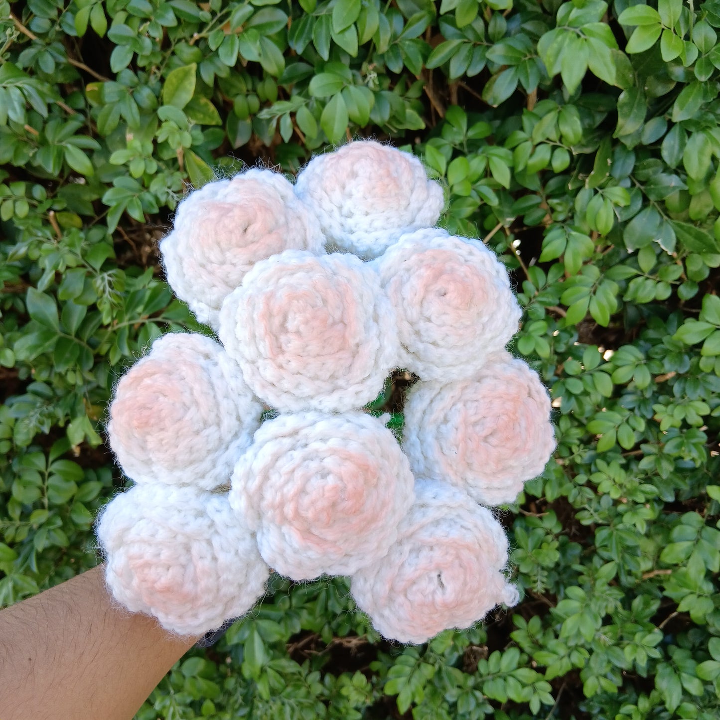 Roses