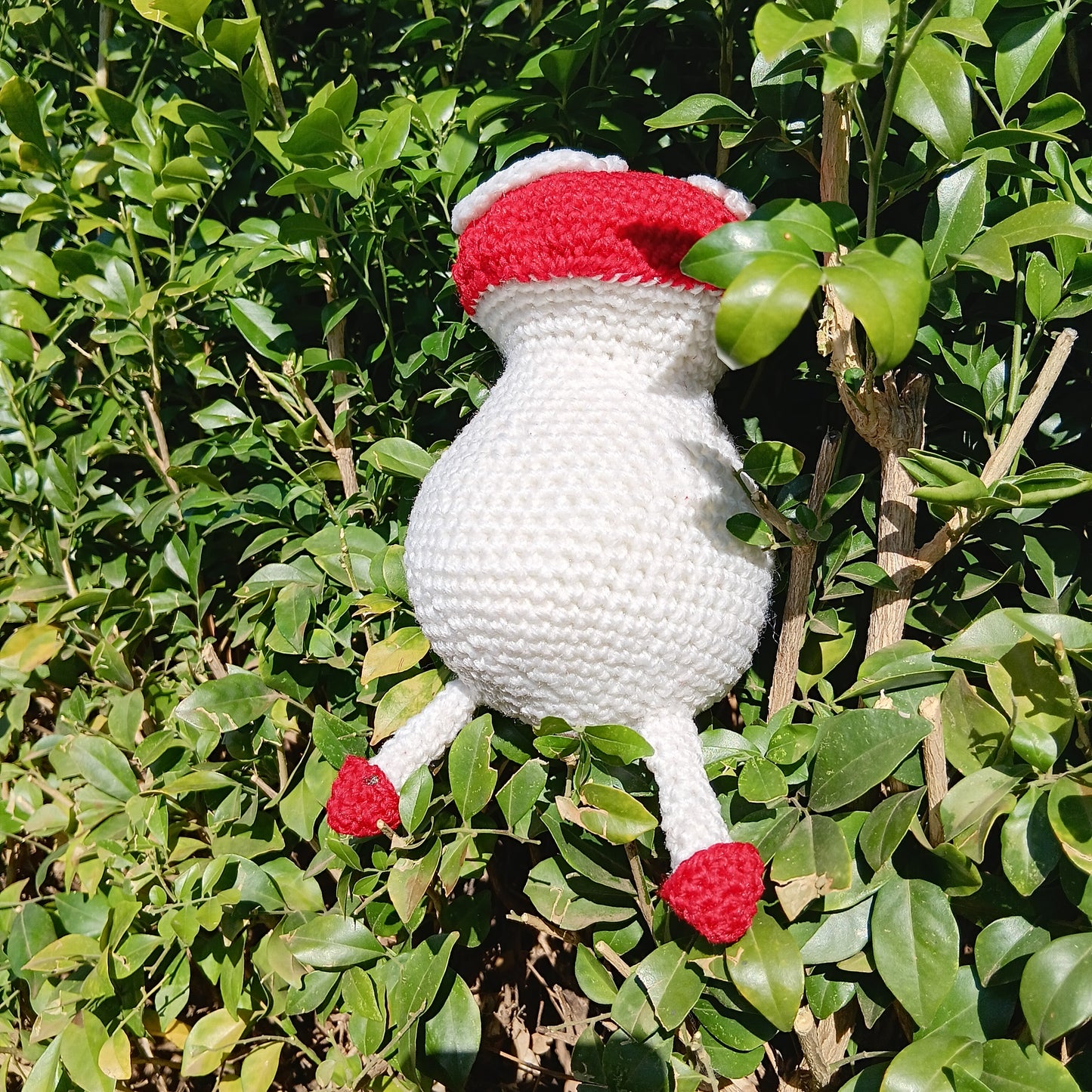 Dungeon meshi mushroom