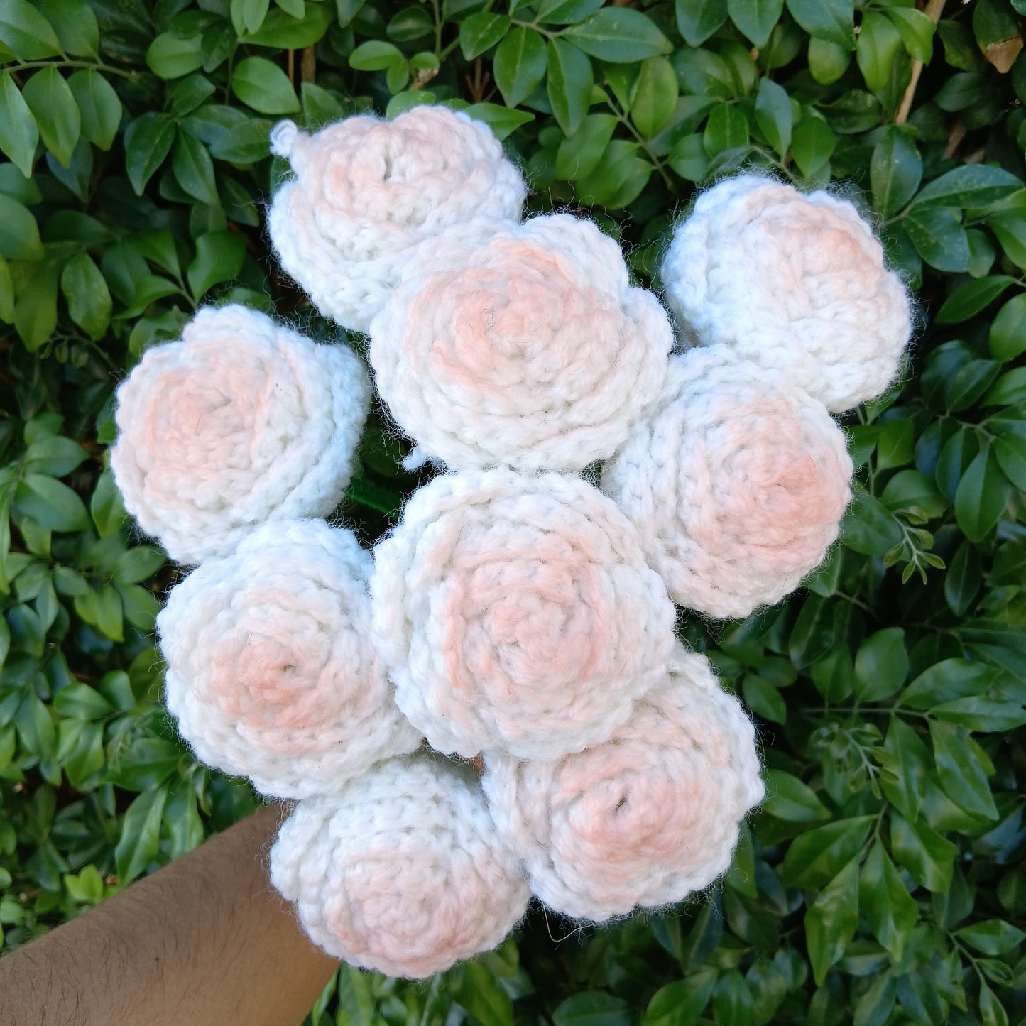 Roses