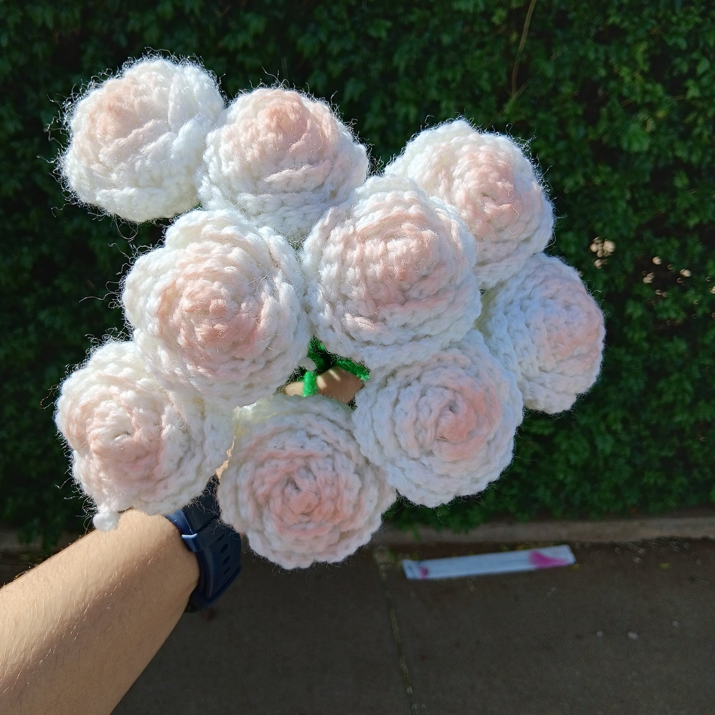 Roses